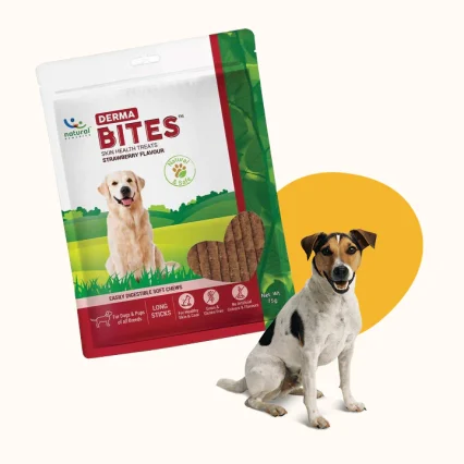 Treats For Dogs, helps improve skin health