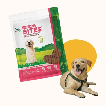 Digestive health treats for dogs.