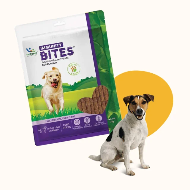 Immunity treats for dogs.