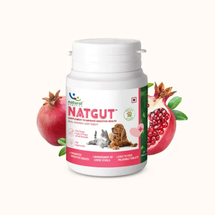A large bottle of natgut, a natural digestive supplement for dogs & cats to help promote digestive health and control diarrhoea in Kenya
