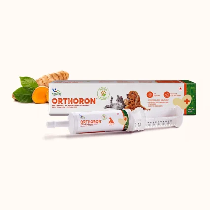 Tube of orthoron, a natural pet joint supplements paste to promote joint strength and help with mobility pain and lameness in dogs and cat in Kenya