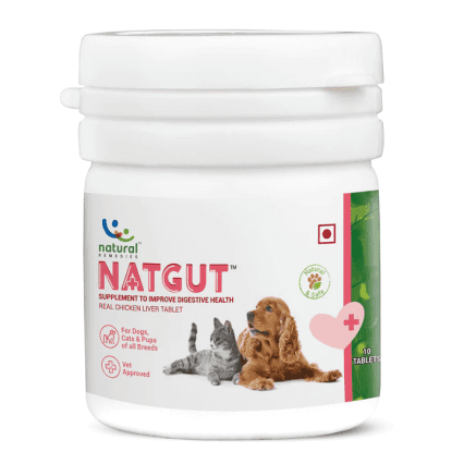 10 tablet bottle of Natgut, a natural digestive supplement for dogs & cats. It helps improve digestive health of animals of all ages.